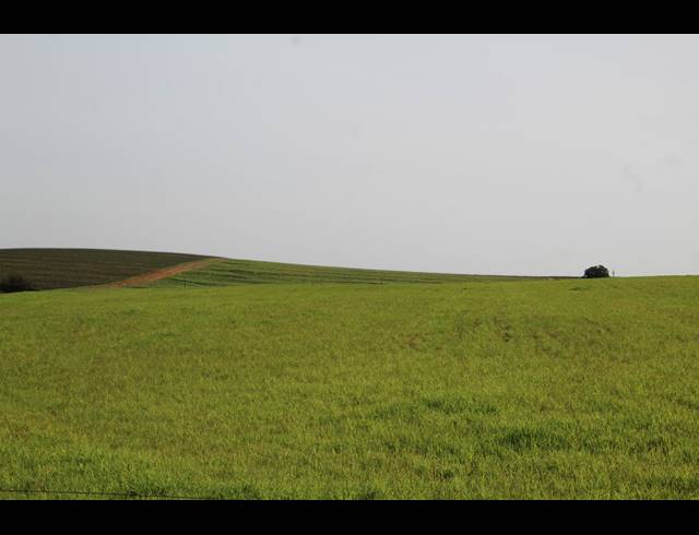 235HA FARM FOR SALE IN MALMESBURY RURAL